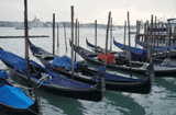 Gondeln wiegen im Canale Grande in Venedig