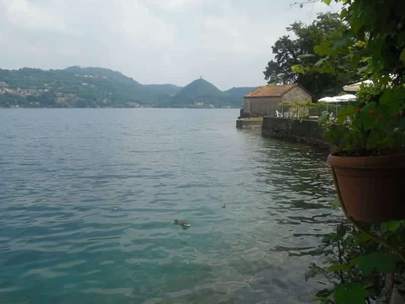 Lago d'Orta mit Enten